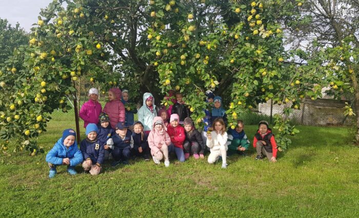 552719757_24822963557323437_3237225483543143314_n